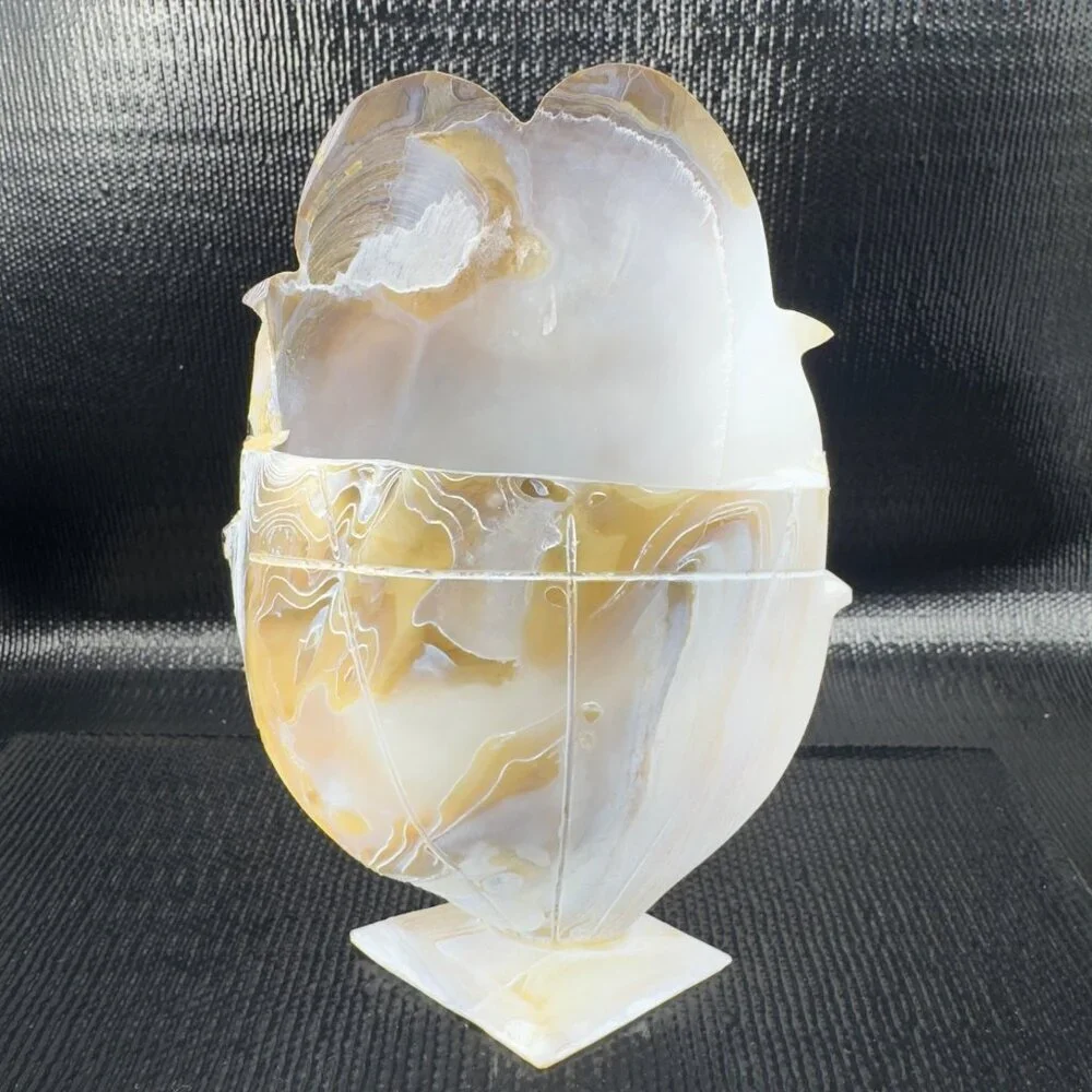 Vintage Mother of Pearl Nautalis Shell Footed Vase‎ Shiny Finish Hand Made Vase